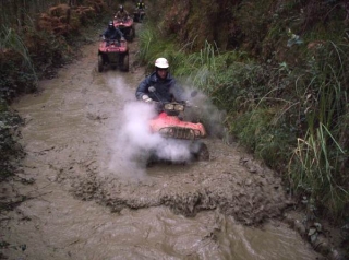  All-terrain quad 